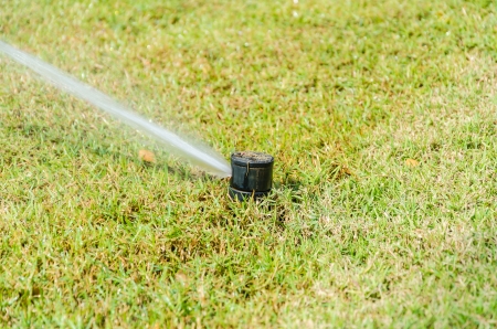 Sprinkle on green grass gardenの写真素材