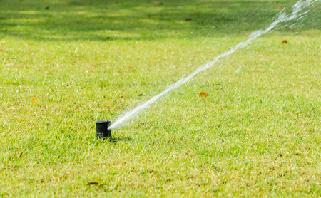Sprinkle on green grass gardenの写真素材