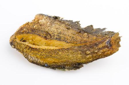 Fried fish isolated white の写真素材