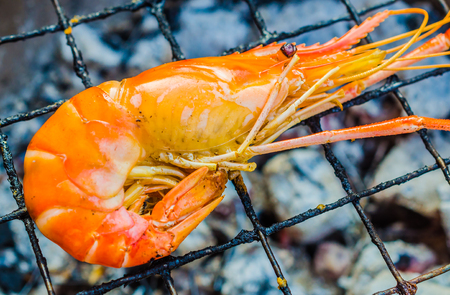 Grilled bbq shrimpの写真素材