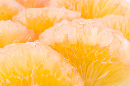 Grapefruit