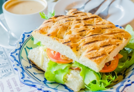 Sandwich ham&cheese with fresh vegetableの写真素材