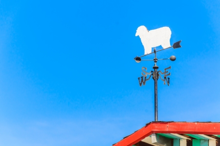 Weather vane compassの写真素材