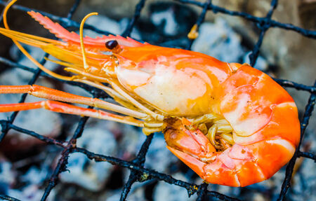 Grilled bbq shrimpの写真素材