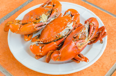 Grilled Crab on white plateの写真素材