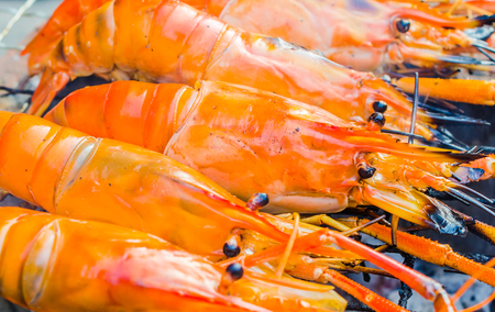 Grilled bbq shrimpの写真素材