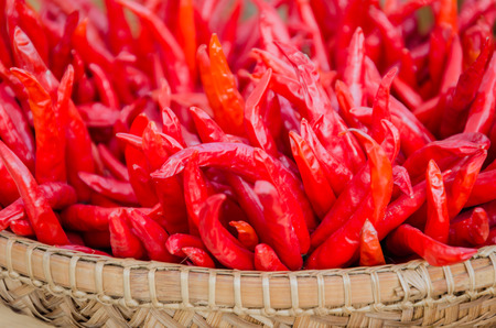 Chilliの写真素材