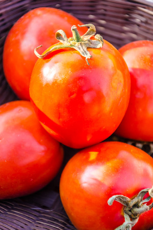 Tomatosの写真素材