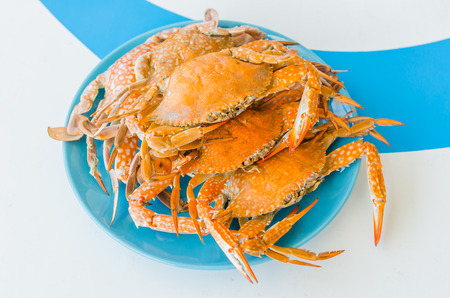 Crabsの写真素材