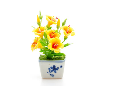 Yellow flower isolated white backgroundの写真素材