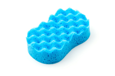 Isolated sponge