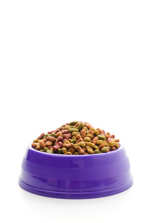 Dog food isolated on whiteの写真素材