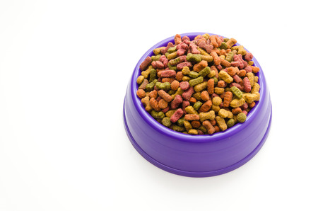 Dog food isolated on whiteの写真素材