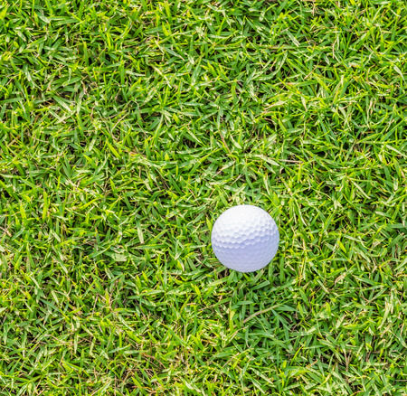 Golf ball on green grassの写真素材