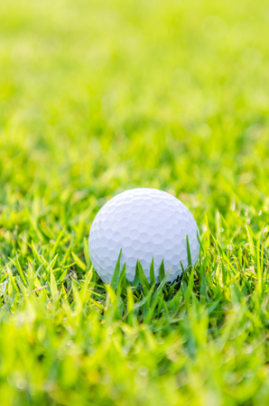 Golf ball on green grassの写真素材