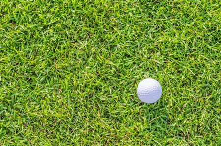 Golf ball on green grassの写真素材