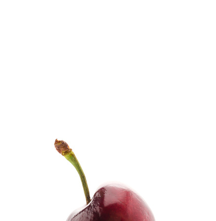 Cherry isolated on white backgroundの写真素材
