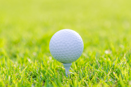 Golf ball on green grassの写真素材