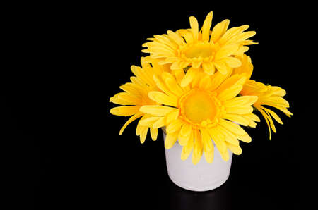 Bouquet flower on black backgroundの写真素材