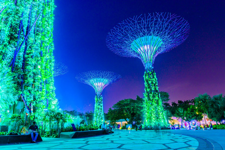 Garden by the bay