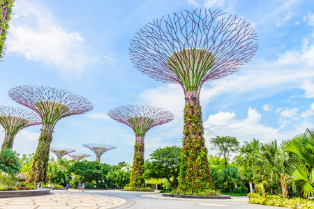 Garden by the bay at singaporeのeditorial素材