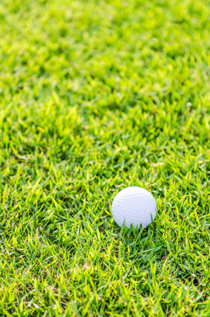 Golf ball on green grassの写真素材