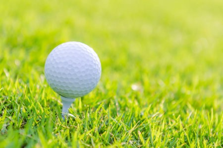 Golf ball on green grassの写真素材