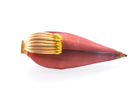 Banana blossom isolated on whiteの写真素材