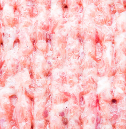 Meat pork background textureの写真素材
