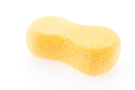 Sponge isolated on white backgroundの写真素材