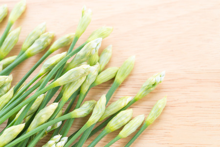Garlic chives on wooden background