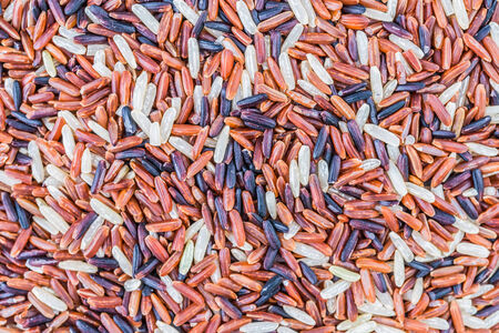 Rice brown backgroundの写真素材