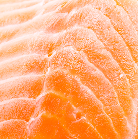 Salmon meat backgroundの写真素材