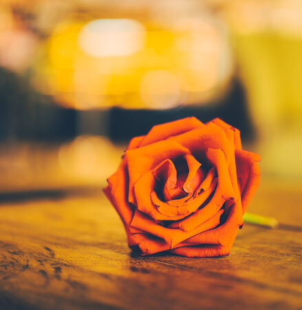 Red rose - vintage effect style picturesの写真素材