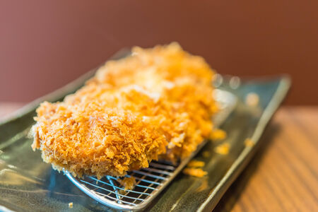 Fried pork meat - japanese food styleの写真素材