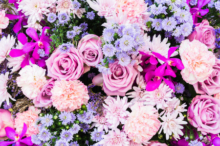 Colorful nature flower backgroundsの写真素材