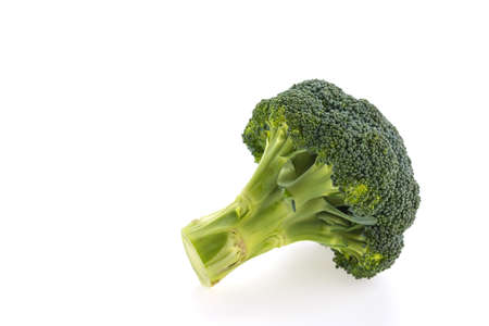 broccoli isolated on white backgroundの写真素材