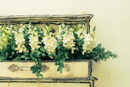 Flower on wall - vintage filter effectの写真素材