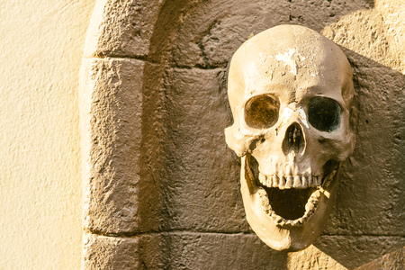 Skull - vintage effectの写真素材