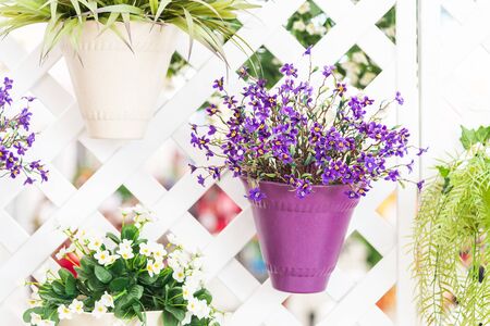 flower vase decorationの写真素材