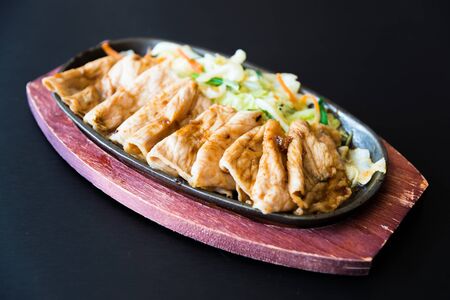 Fried pork steak - japanese style foodの写真素材