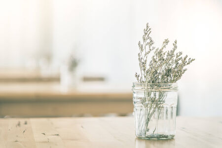Soft focus on Flower pot - vintage effect