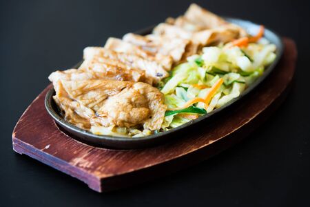 Fried pork steak - japanese style foodの写真素材