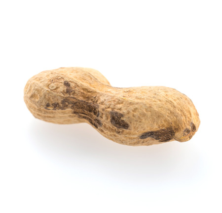 peanuts isolated on white backgroundの写真素材
