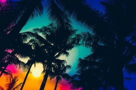 silhouette palm tree - vintage effect filter and light leak filter effectの写真素材