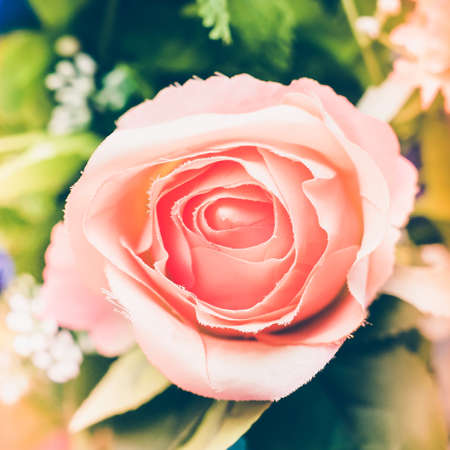 Vintage flower in vase - vintage filterの写真素材