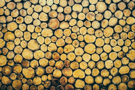 Log woods textures background - vintage effect processingの写真素材