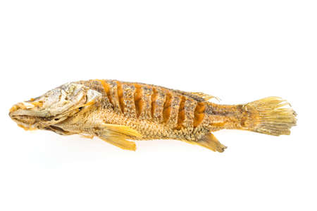 Fried fish isolated on white background
