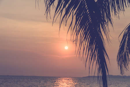 Silhouette palm tree - vintage filter
