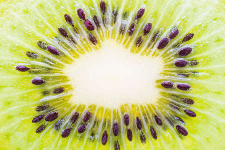 Kiwi fruit isolated on white backgroundの写真素材